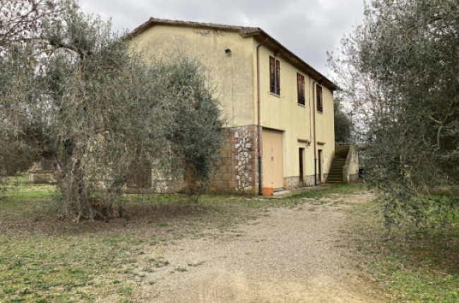 TRA GLI ULIVI